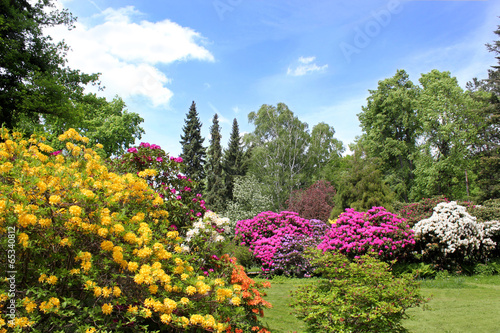 Rhododendrongarten