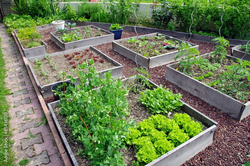 carré potager