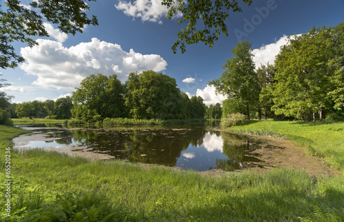 Landscape with the pond