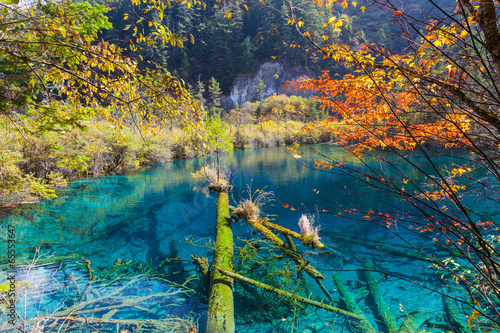 beautiful inverted image in jiuzhaigou national park