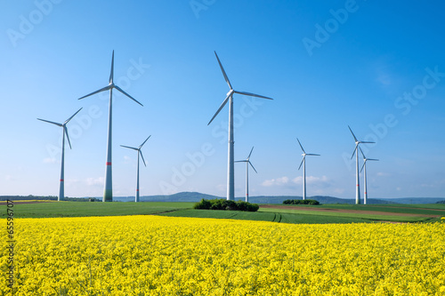 Rapeseed and windwheels