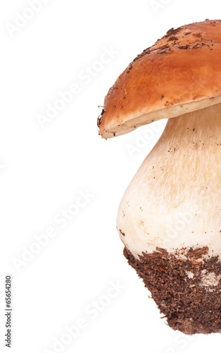 Dirty mushroom