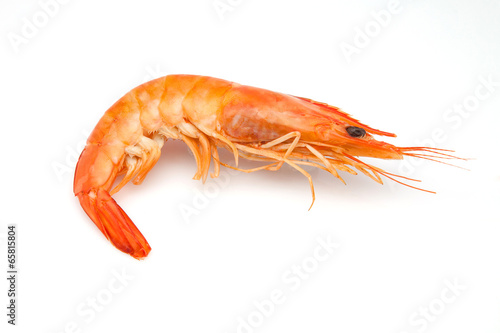 langostino