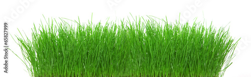 Freigestelltes Gras