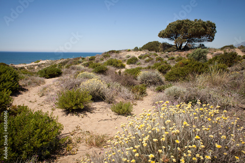 morze plaża park spacer pustynia suchy klimat