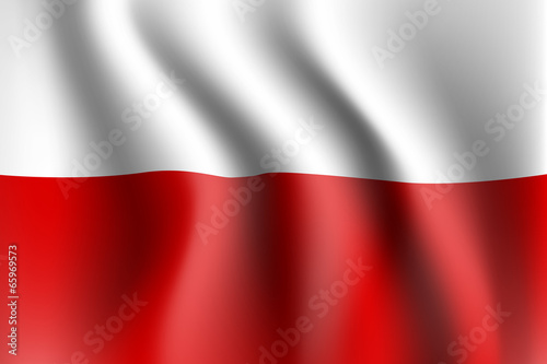 polska flaga wektor