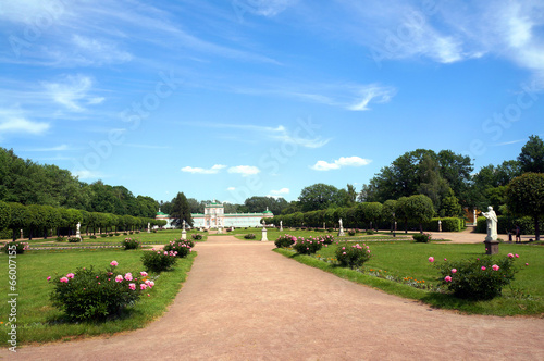 The road to the palace lined with blooming peony