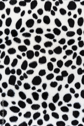 The texture of leopard leather