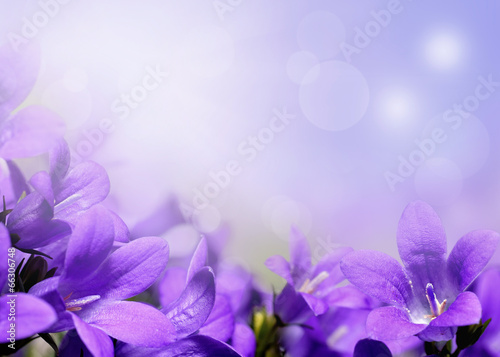 Abstract spring background with purple flowers