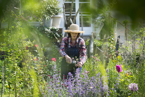 Senior woman in a garden.
