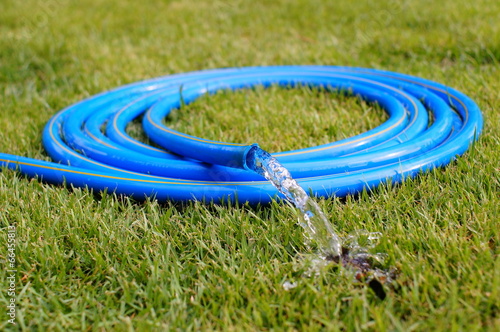 Garden Blue hose on green grass.