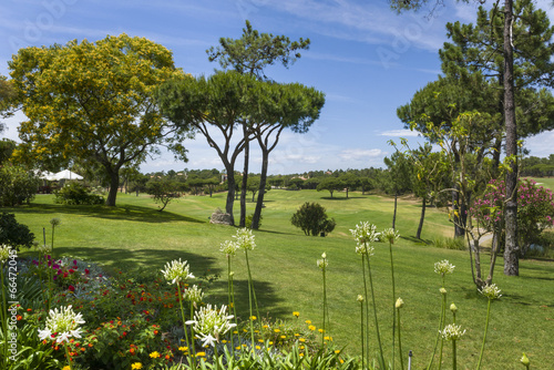 Sunny landscape of golf course