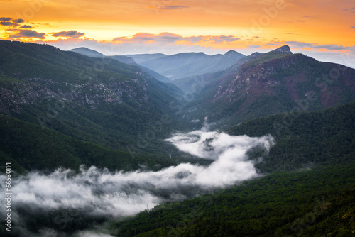 River of Fog at Linville