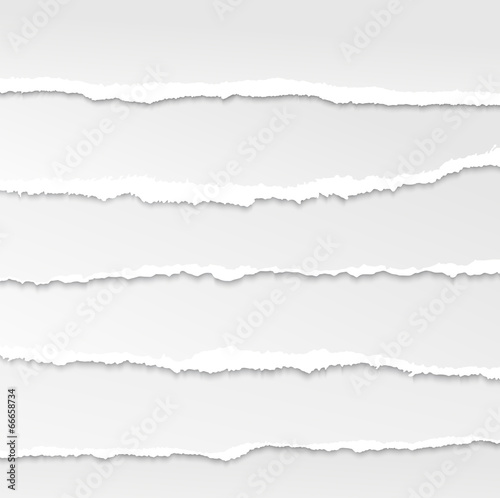 torn paper edges vector