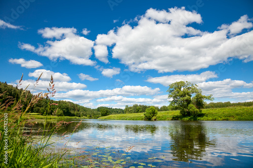 Summer landscape