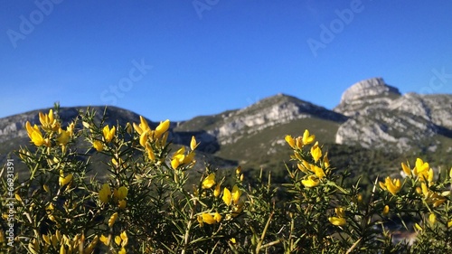 argeyras dans le Garlaban