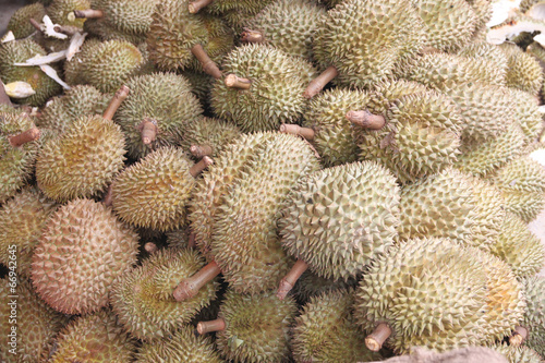 Fresh durian fruit.