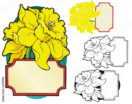 Bookplate style frame with gigantic daffodils
