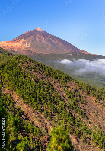 Teide volcano beyond a forest of pines in Tenerife, Spain