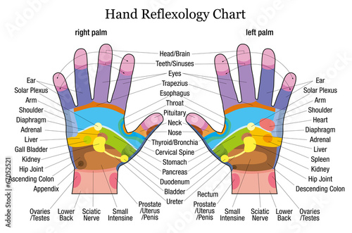 Hand reflexology chart description