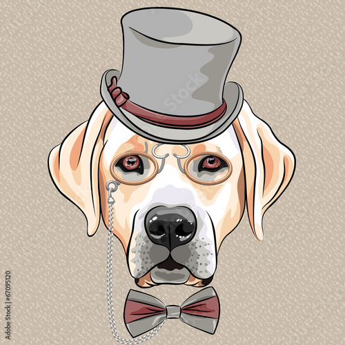 vector serious cartoon hipster dog Labrador Retriever breed