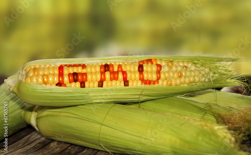 gmo food