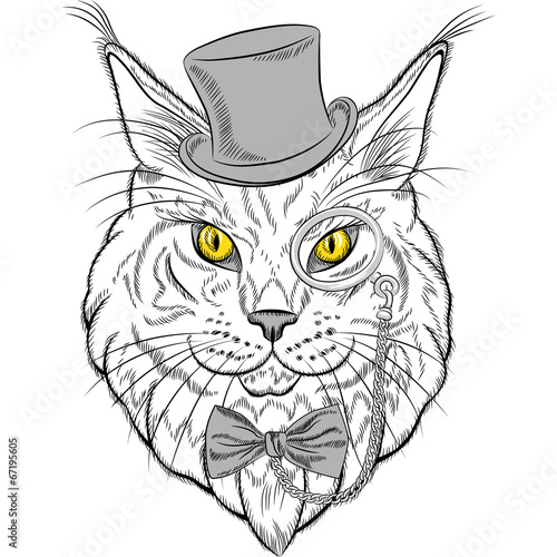 vector closeup portrait of the Maine Coon cat hipster