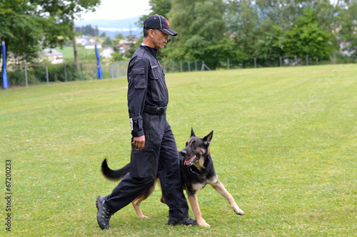 Schaefer geht bei Hundetrainer Fuss