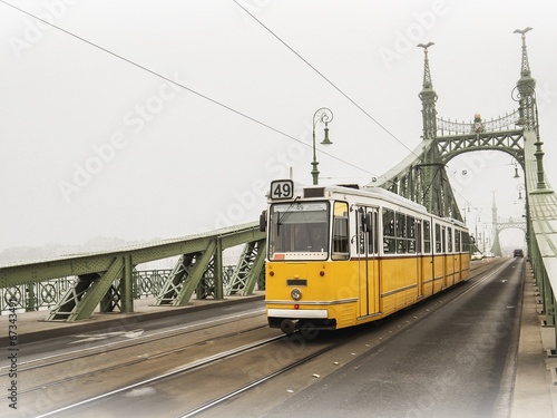 Freedom Bridge in Budapest, Hungary (misty morning)