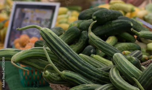 armenian cucumber