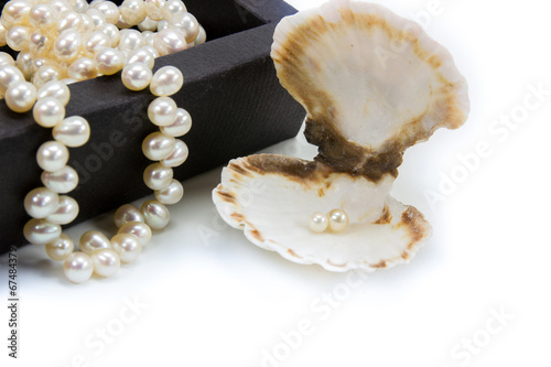 Perlenkette mit Muschel und Perle