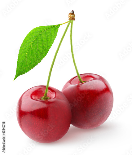 Isolated cherries. Pair of sweet cherry fruits with stems and leaf isolated on white background