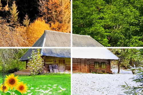 Four seasons in one photo