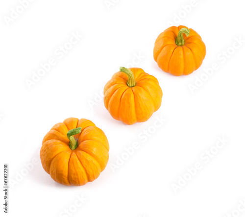 Decorative orange pumpkins