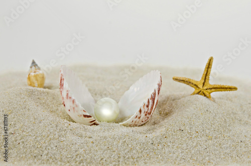 pearl in seashell in sand
