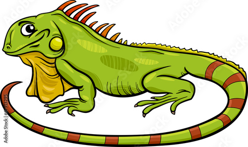 iguana animal cartoon illustration