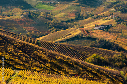 Vigneti nelle langhe