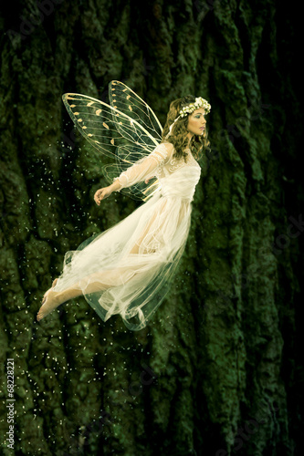 Flying fairy