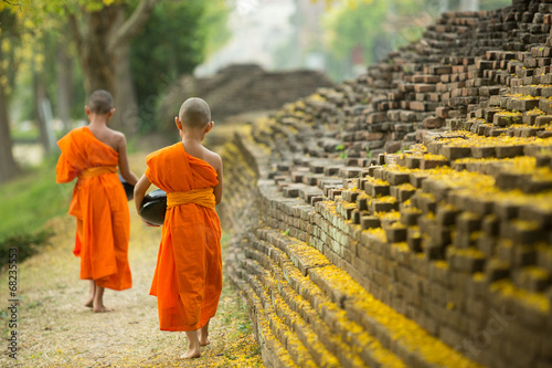 Buddhist Monk walking for receive food