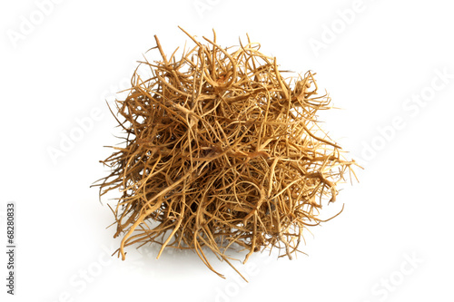 Tumbleweed