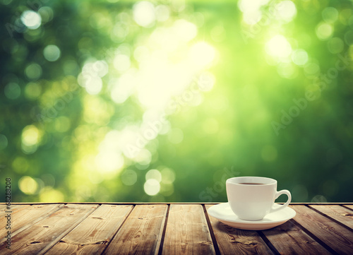 cup coffee and sunny trees background