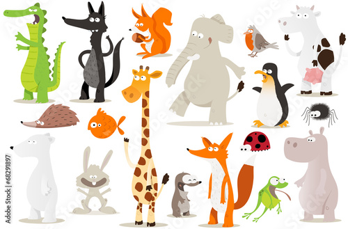 collection d’animaux pour enfants