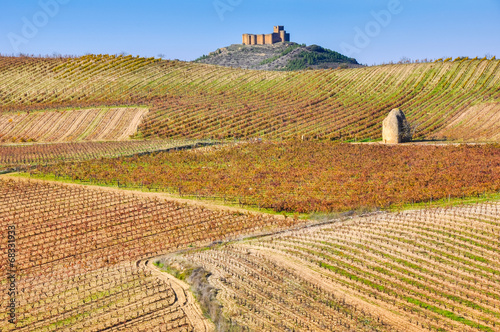 Viñedo en otoño junto al castillo de Davalillo, La Rioja
