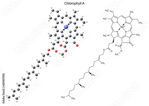 Structural chemical formula and model of chlorophyll A