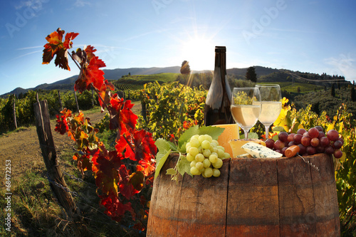 White wine with barell in vineyard, Chianti, Tuscany, Italy