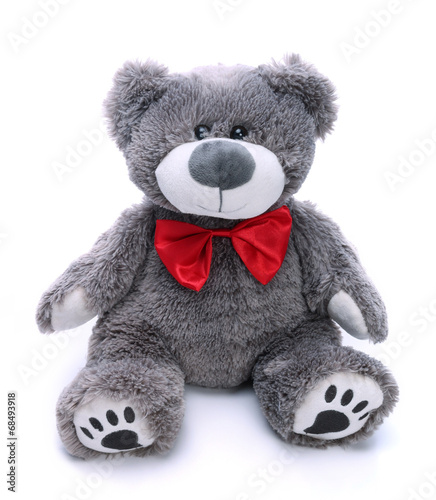 Gray teddy bear on a white background