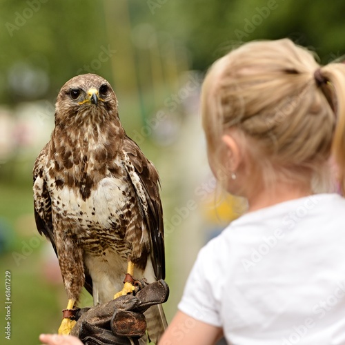 faucon et petite fille