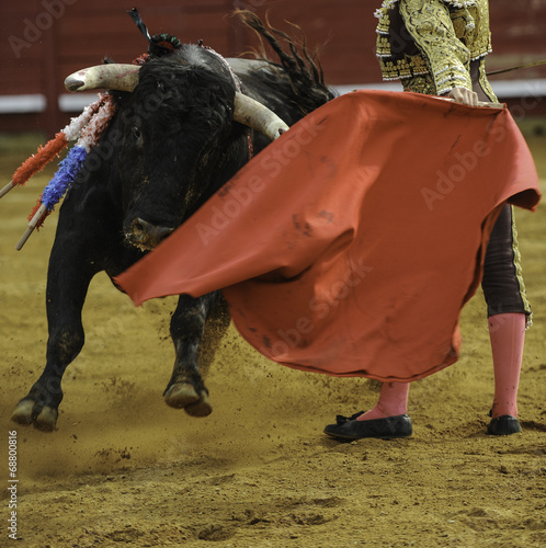 El Toro - Bullfigth corrida