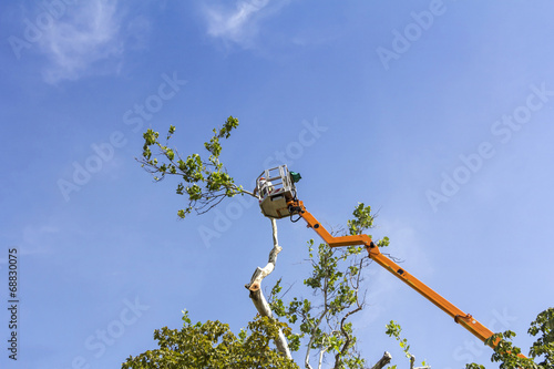 A worker with a chainsaw trimming the tree branches on the high Hydraulic mobile platform