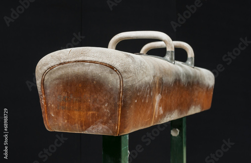 Gymnastic pommel horse